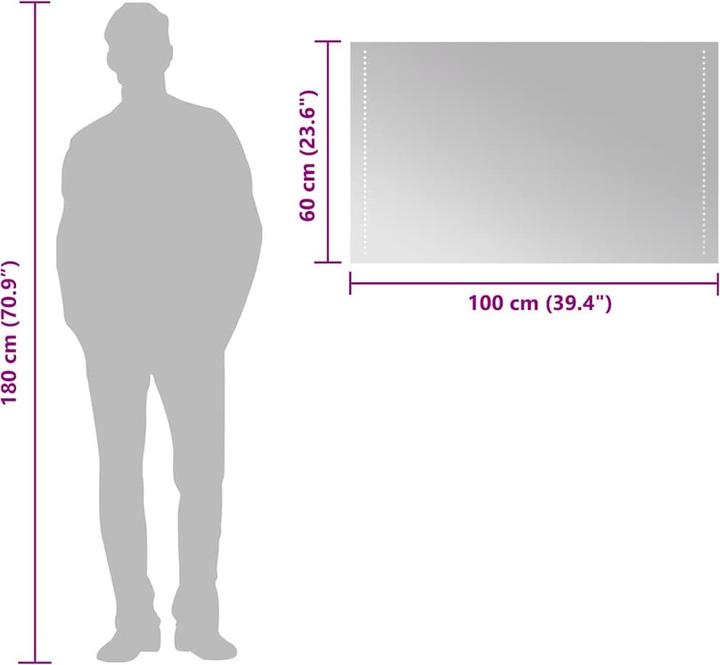 Image du produit vidaXL Spiegel (100 x 60 cm)