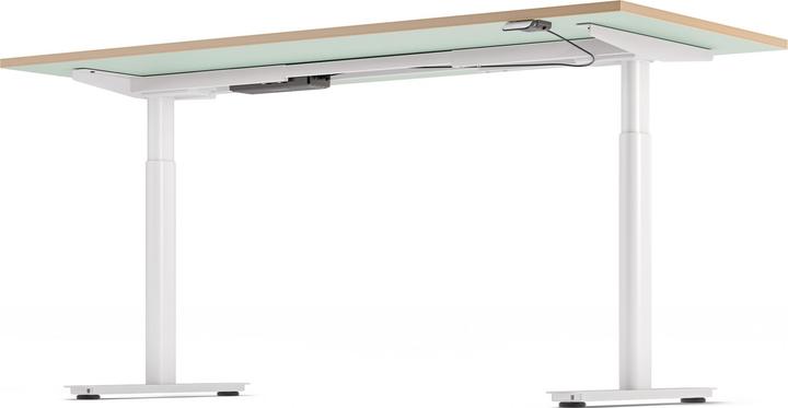 Actual product image ofinto Rise