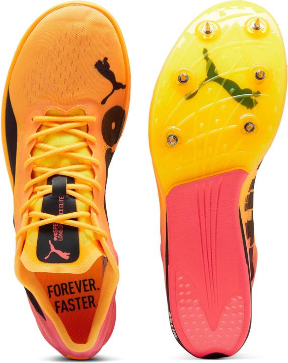 Produktbild Puma evoSPEED Long Distance Nitro Elite 2 (44.5)