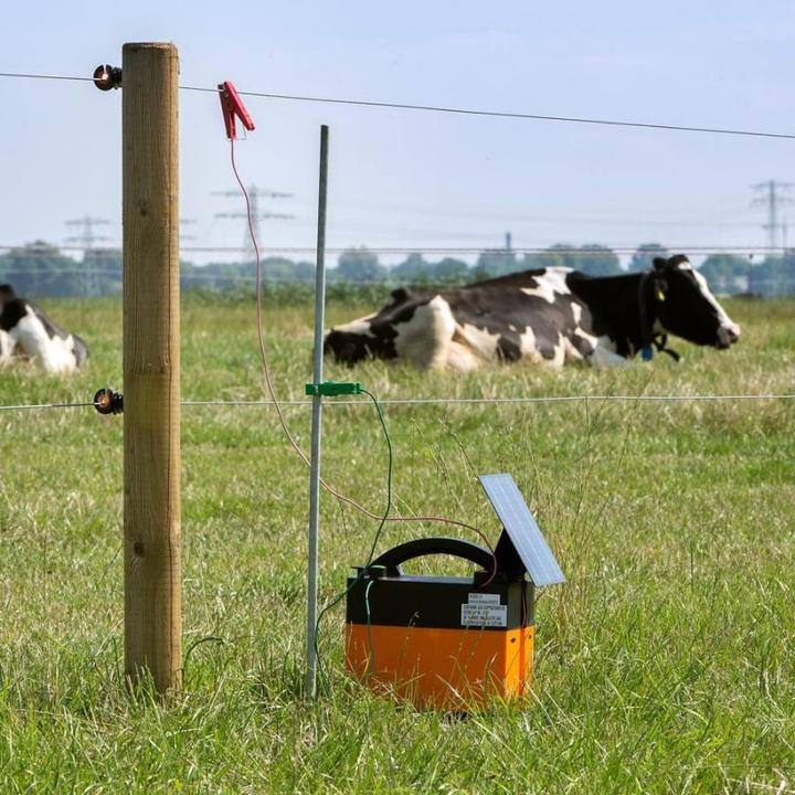 Actual product image Gallagher Earth spike with clamp