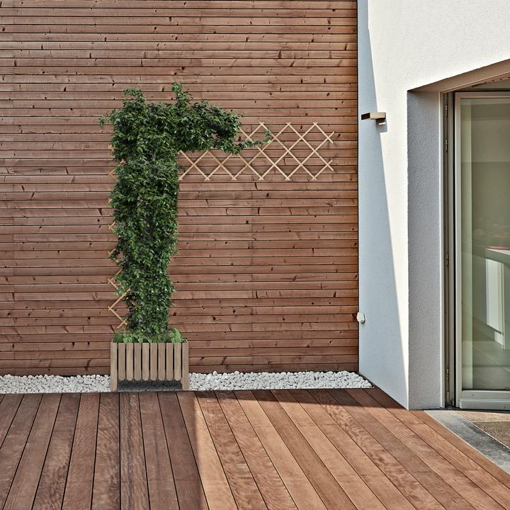 Image du produit Relaxdays Treillis (1.50 cm, 60 cm)