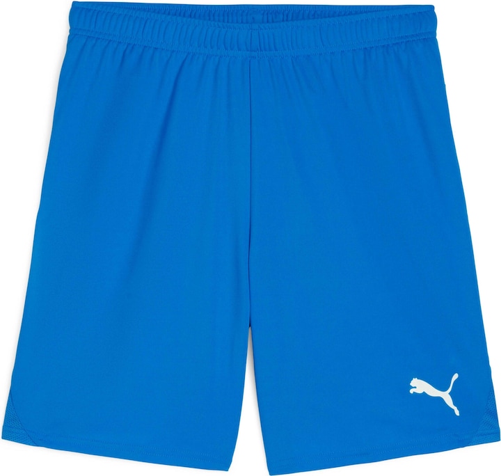Actual product image Puma teamGOAL shorts (3XL)