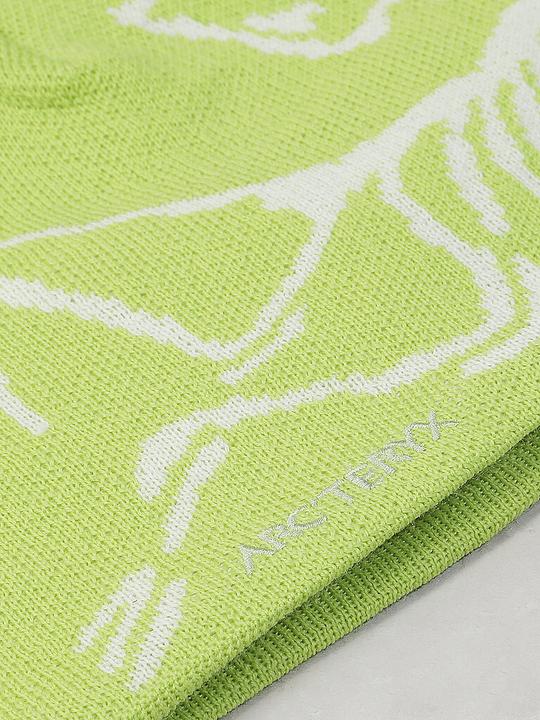 Produktbild Arc'teryx Bird Toque