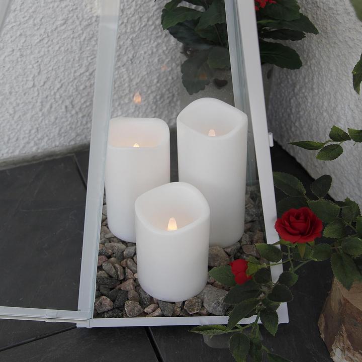 Produktbild Star Trading Paul (1 x)