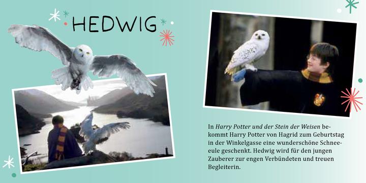 Produktbild Panini Harry Potter Magische Weihnachten