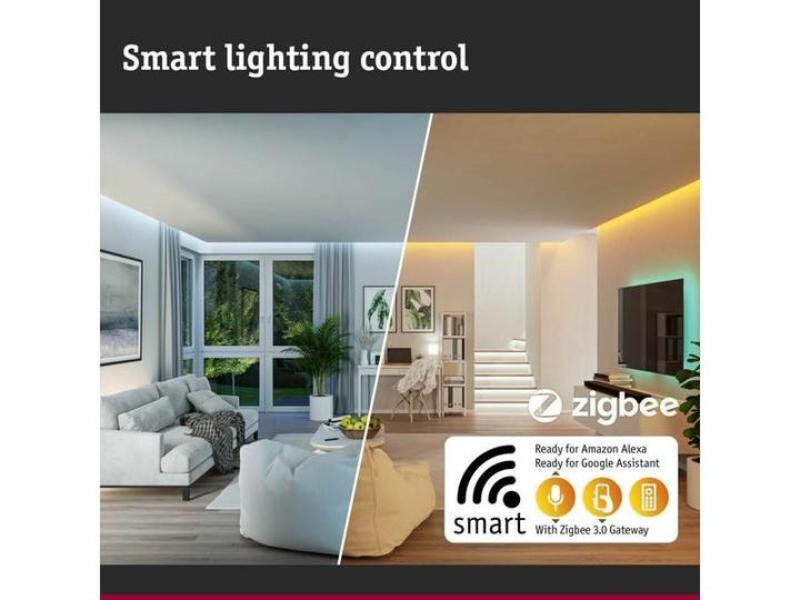 Actual product image Paulmann Outdoor Plug & Shine Floor (100 lm, IP67)
