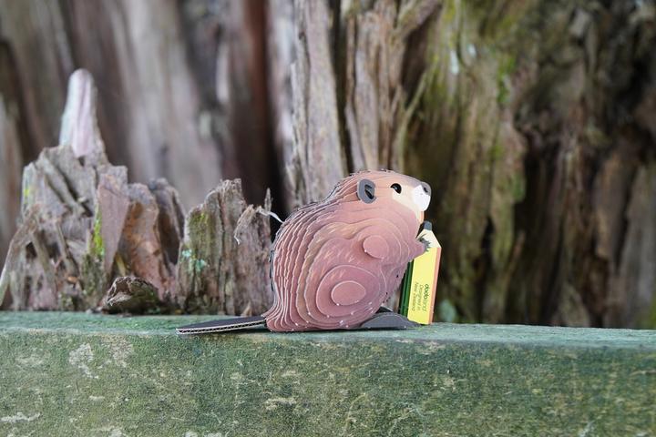 Produktbild Carletto 3D Bastelset Biber