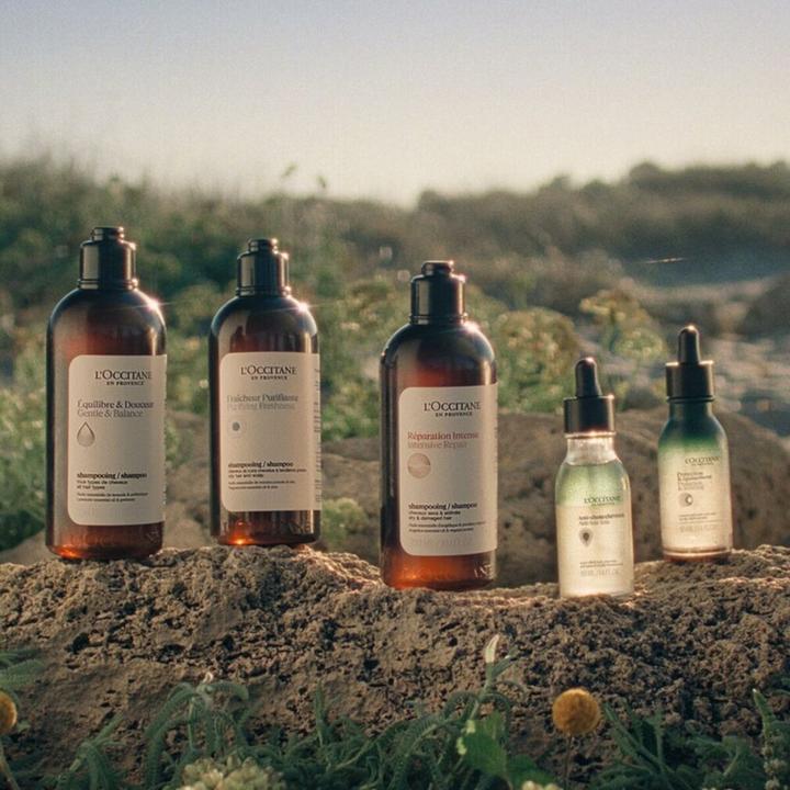 Produktbild L'Occitane Gentle & Balance Shampoo (75 ml, Flüssiges Shampoo)