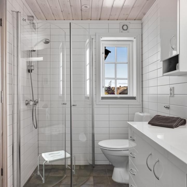 Produktbild MSV Ethan (120 kg)