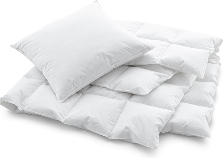 Actual product image Swiss Dream by billerbeck Soft Pillow Basic 90 (50 x 90 cm)