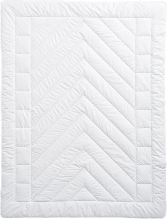 Produktbild Billerbeck Camel Uno (810 g, 160 x 210 cm)