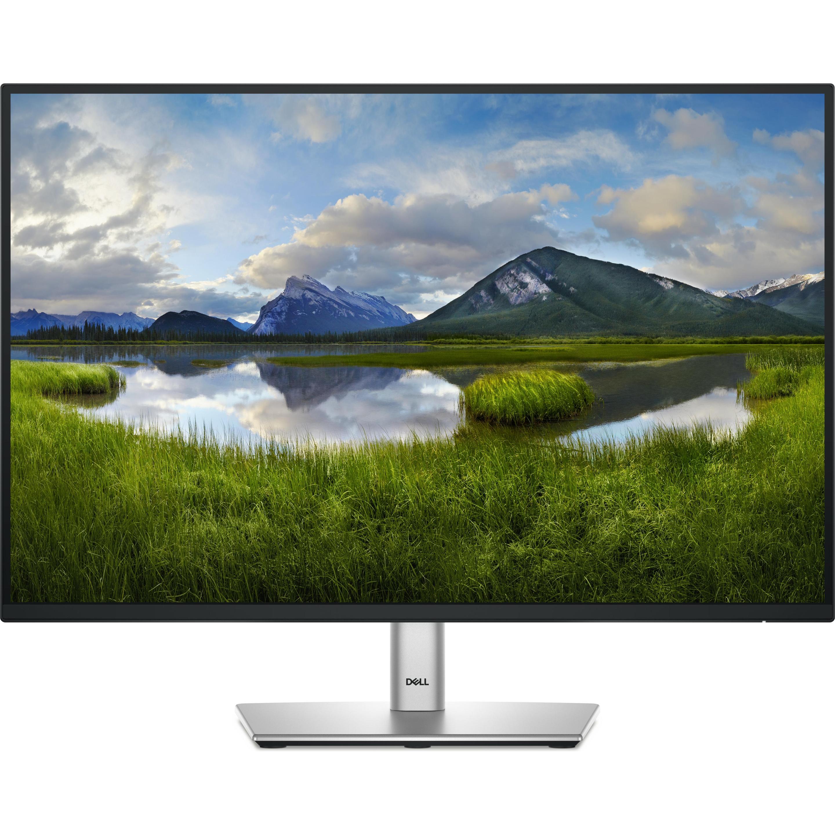 Dell P2425E (1920 x 1200 Pixel, 24"), Monitor, Grau