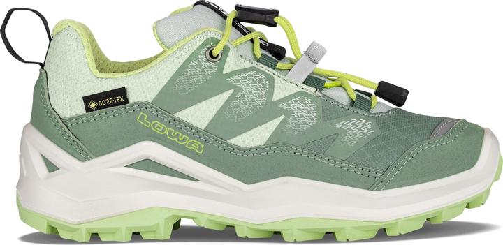 Actual product image Lowa Maddox Pro GTX LO (27)