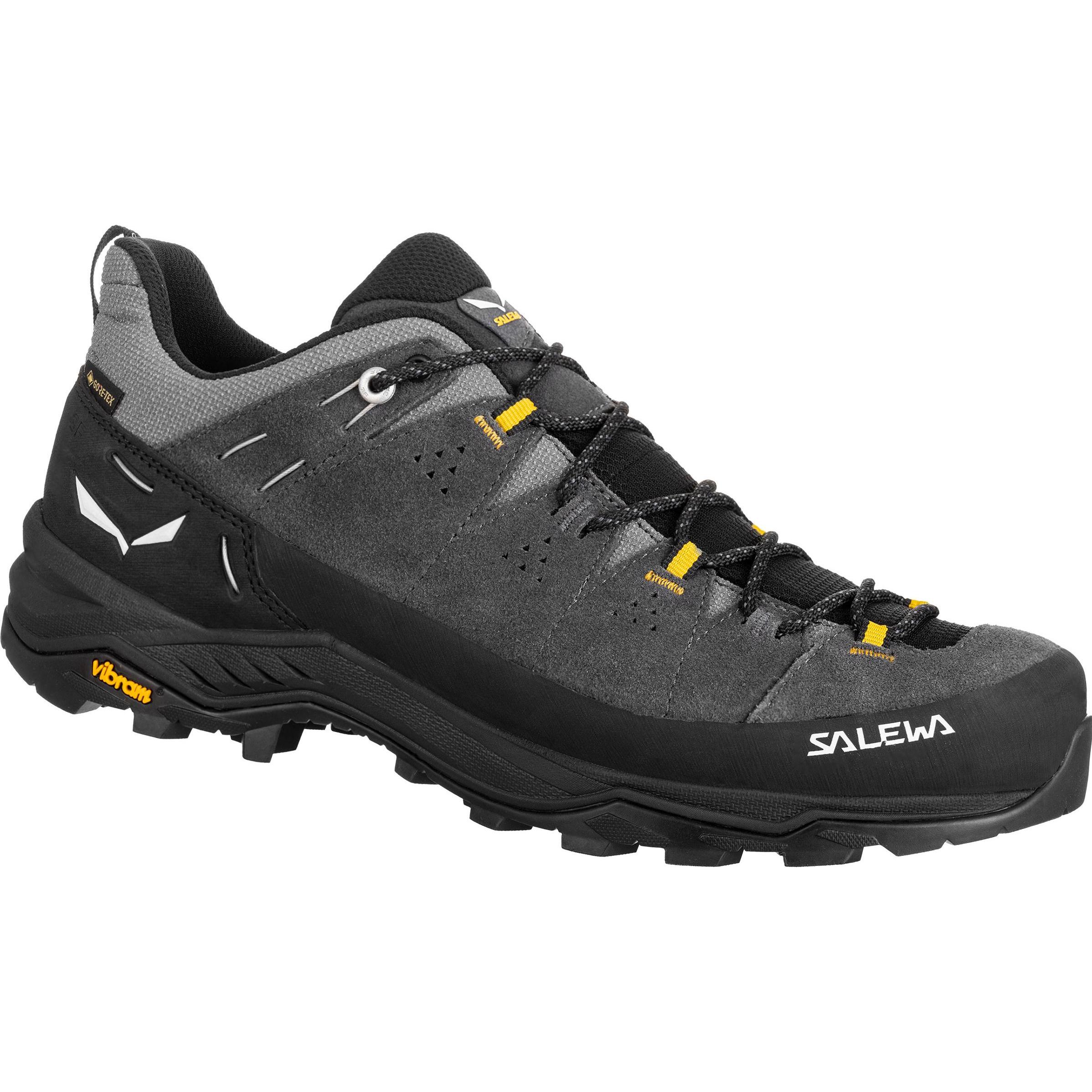 Salewa, Herren, Wanderschuhe, Alp Trainer 2 GTX (41), Schwarz
