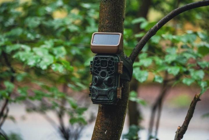 Produktbild Braun Photo Scouting Cam Black400 WiFi Solar