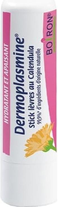 Actual product image Boiron Dermoplasmine Lip Balm (Lip balm, 10 g)