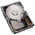 Actual product image IBM Hard disk - 73.4 GB - Hot-Swap (0.07 TB, 3.5")