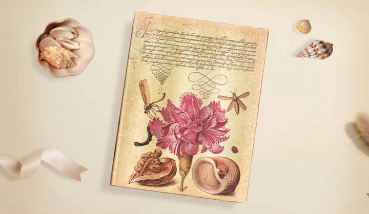 Image du produit Paperblanks Carnet de notes FB Midi Rose Oeillet unlin. (Blanc, Couverture souple)