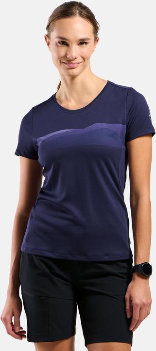 Actual product image Odlo F-Dry Ridgeline (S)