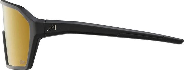 Produktbild ALPINA SPORTS RAM Q-Lite (Black Matt, Gold)