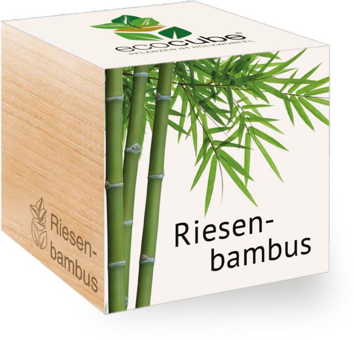 Image du produit Feel Green Ecocube (Graines de plantes)
