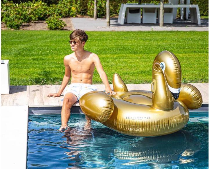 Actual product image TOP Swan