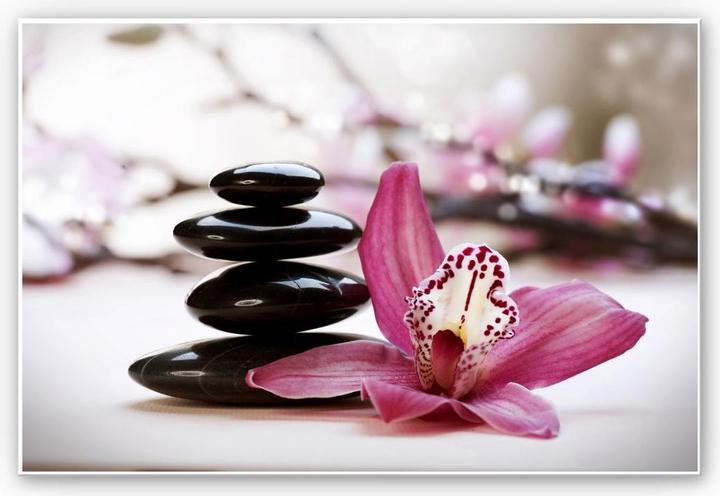 Produktbild Trenddeko Orchidee (60 x 40 cm)