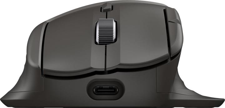 Produktbild HP Ultra-Fast Scroll Wireless Mouse 785M (Kabellos)