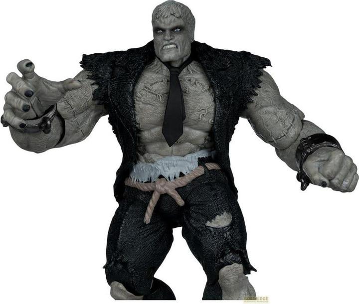 Produktbild McFarlane DC Multiverse pack de 2 figurines Solomon Grundy vs Green Lantern 18 cm