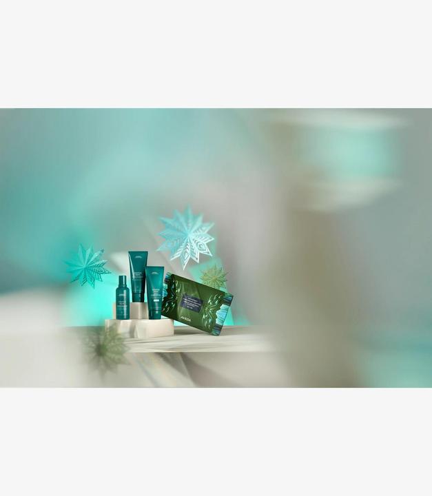 Produktbild Aveda Botanical Repair™ Strengthening Essentials: Light Weihnachts- Set (Haarpflege Set)