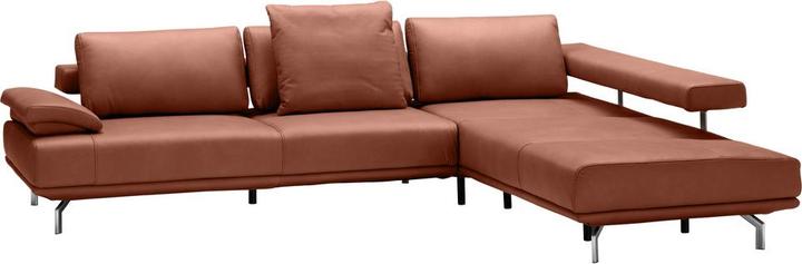 Cloudy cognac, Kat. 60