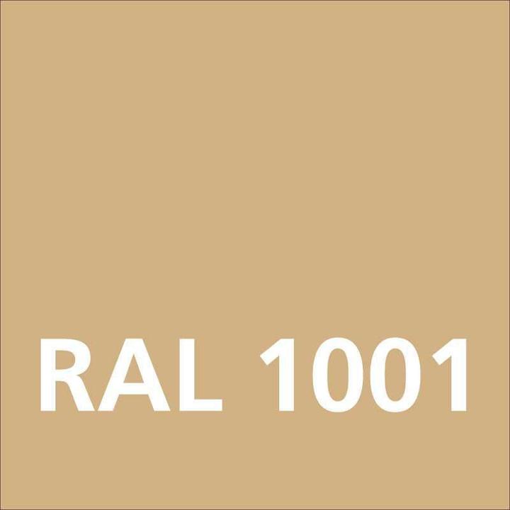 Actual product image Dupli-Color Glossy acrylic paint RAL 1001 beige (Beige, 0.40 l)