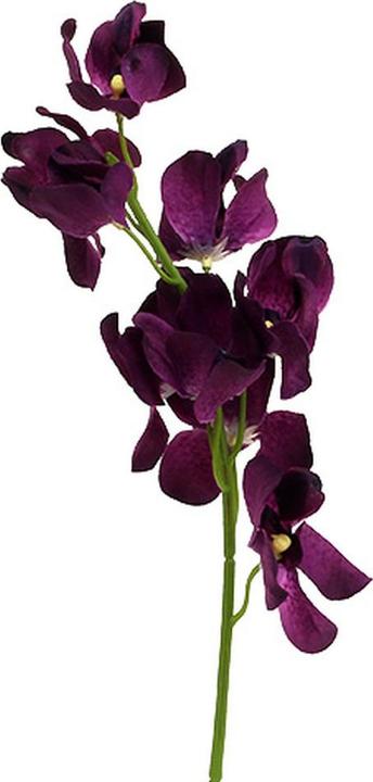 Viana Lebensechte knstliche Mokara Orchidee fr elegante Dekorationen (50  cm)