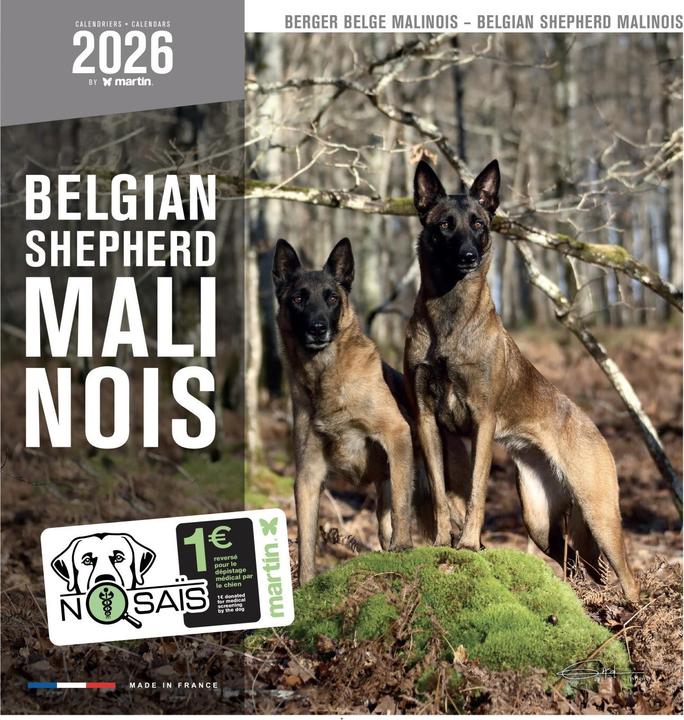 Produktbild Martin Sellier Berger Belge Malinois