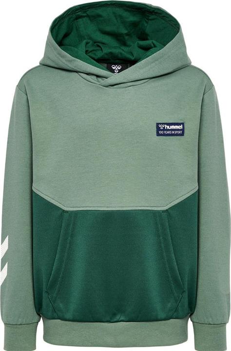 Produktbild hummel hmlEDDY HOODIE (140)