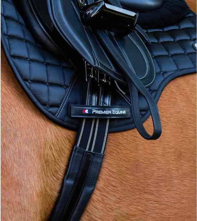 Image du produit Premier Equine Ledersattelgurte Rapone
