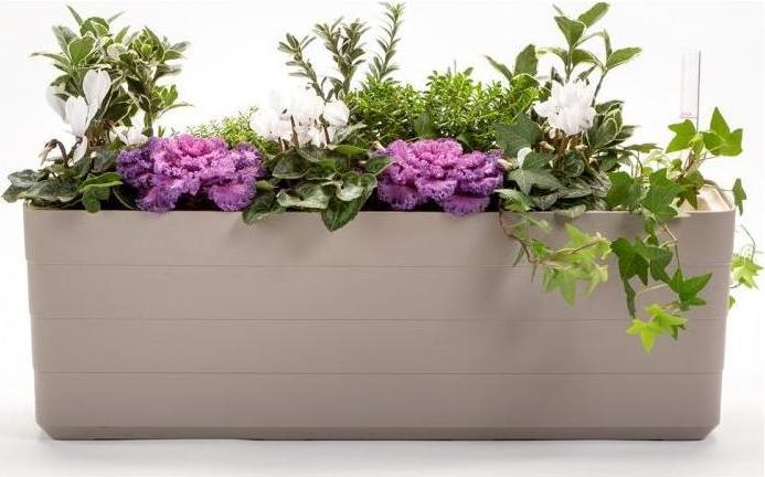 Actual product image Plastia Barberis 80 (78 x 19.50 x 19.70 cm)