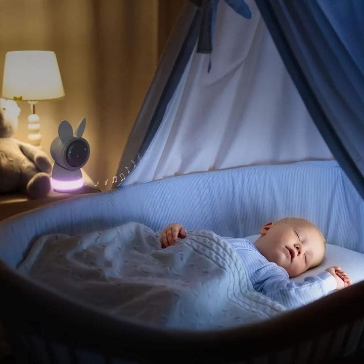 Image du produit Arenti AInanny (Vidéo et audio, 150 m)