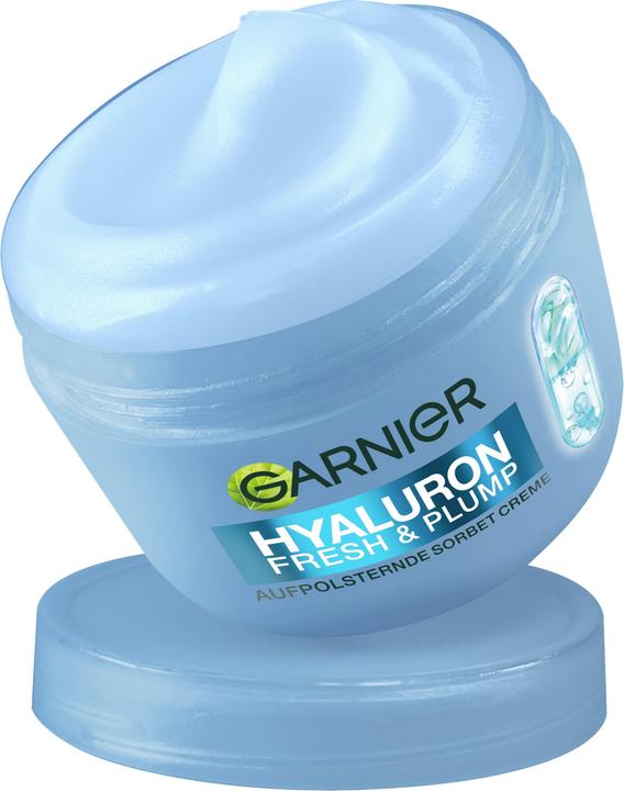 Image du produit Garnier Natural (85 ml, Crème 24h)