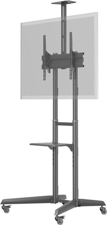 Actual product image Goobay TV Presentation Stand Pro Size L (70", 50 kg)