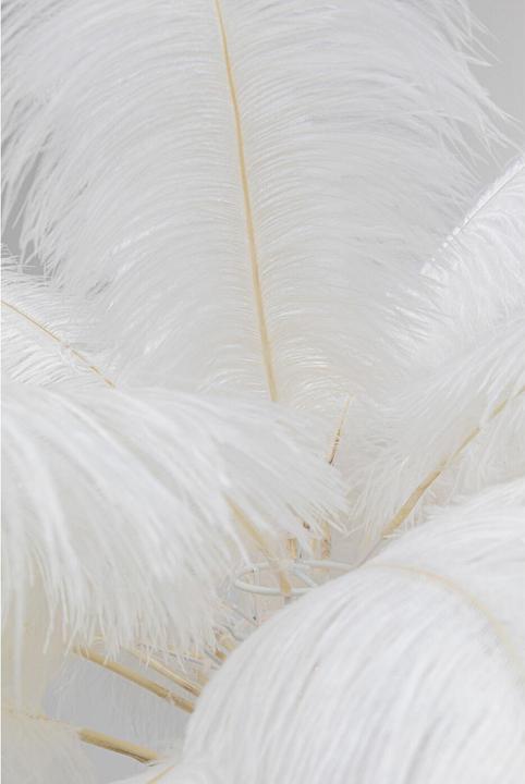 Produktbild Kare Design Feather Palm (E27)