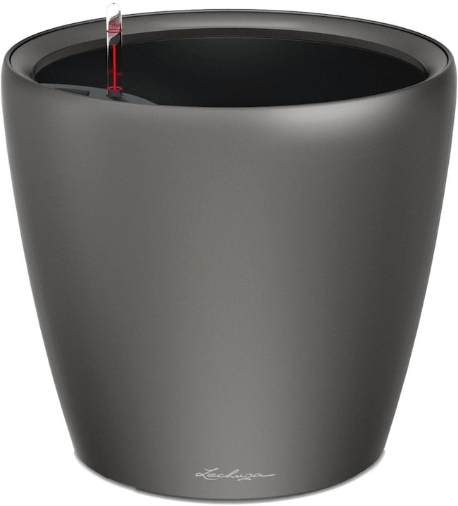 Actual product image Lechuza Classico (28.50 cm)