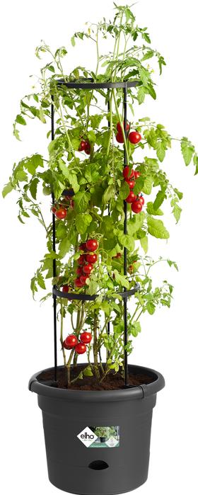 Actual product image Elho Green Basics Tomato Pots (33.50 cm)