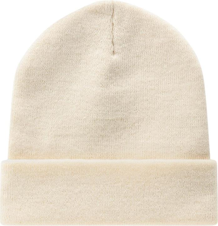 Image du produit Dickies Gibsland