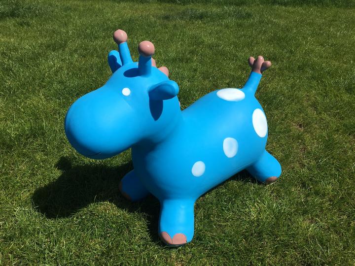 Image du produit Happy Hopperz Girafe