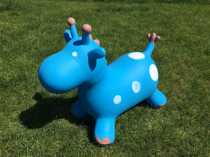 Actual product image Happy Hopperz Giraffe