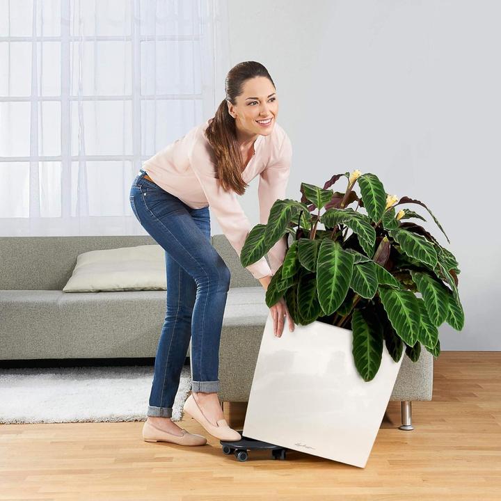 Actual product image Lechuza Cube 50 (49 x 49 x 49.50 cm)