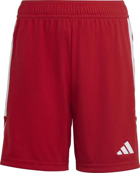 adidas Tiro 23 Trainingsshorts Kinder (176)