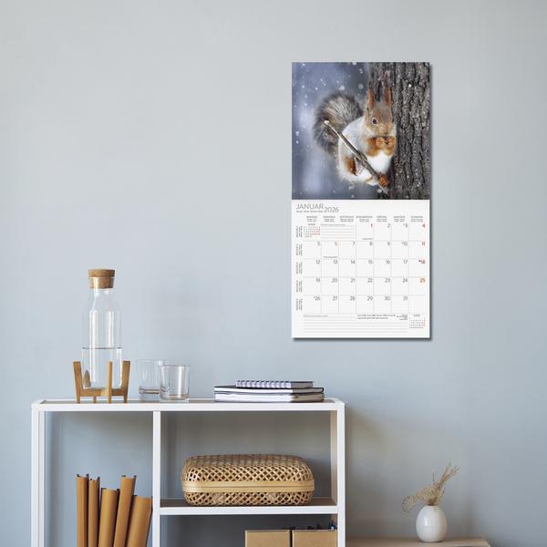 Actual product image Eichhrnchen 2026 (30 x 60 cm, Hardcover, English, French)
