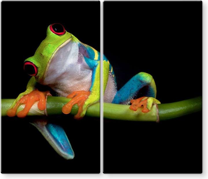 Image du produit Trenddeko Valverde - Green Frog